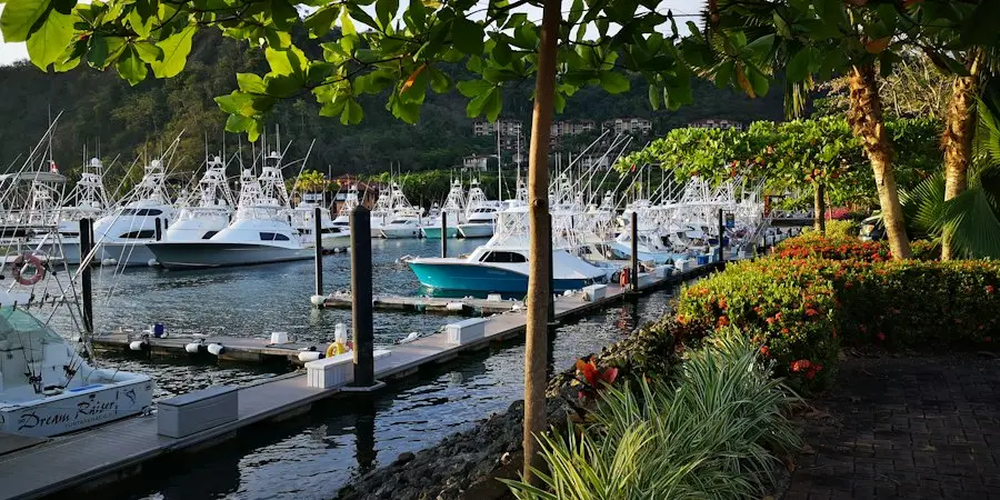 Sailboats moored at a yacht club